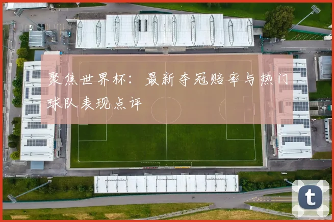 聚焦世界杯：最新夺冠赔率与热门球队表现点评